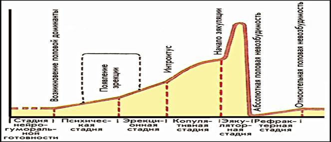 Сексология, сексопатология